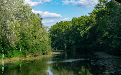 River flows along banks with grass and green trees at sunset. River and trees landscape