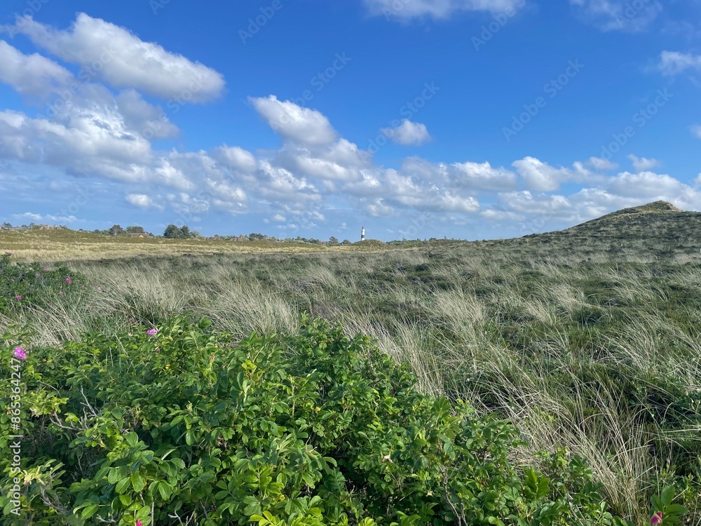 Fototapeta premium Dünen Sylt mit Nordsee
