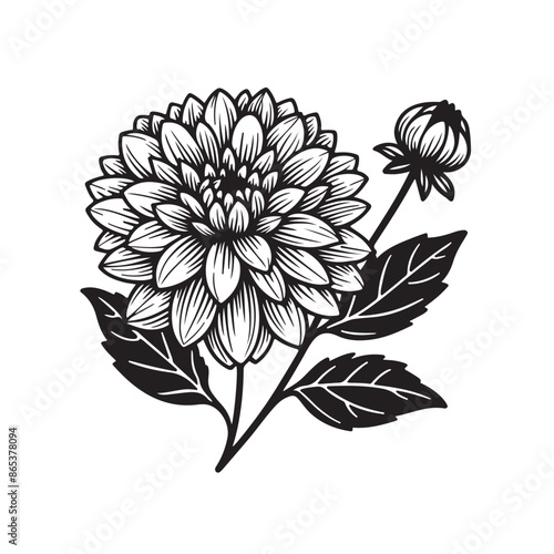 Dahlia flower black silhouette isolated on a white background.