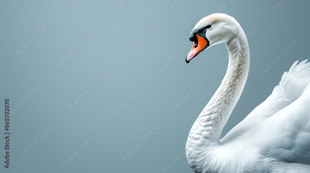Fototapeta premium An elegant swan with its neck curved gracefully, against a pale blue background, positioned on the right side with the left side empty.
