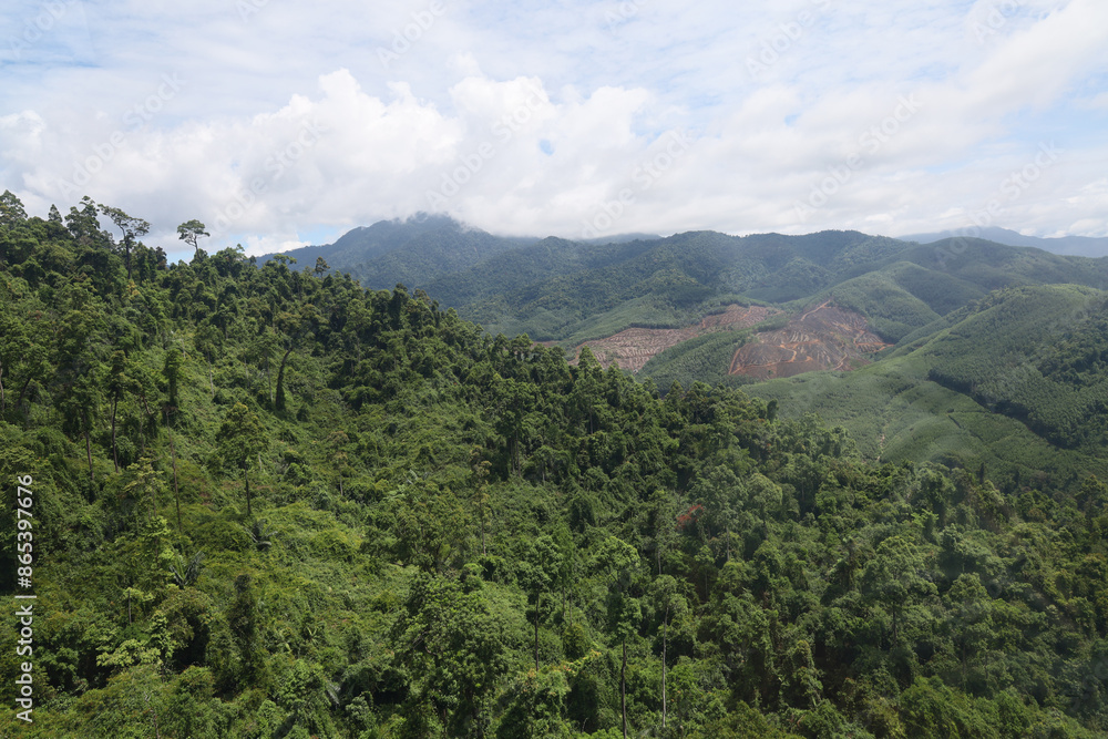 Fototapeta premium the tree mountain view before from banahill cable car