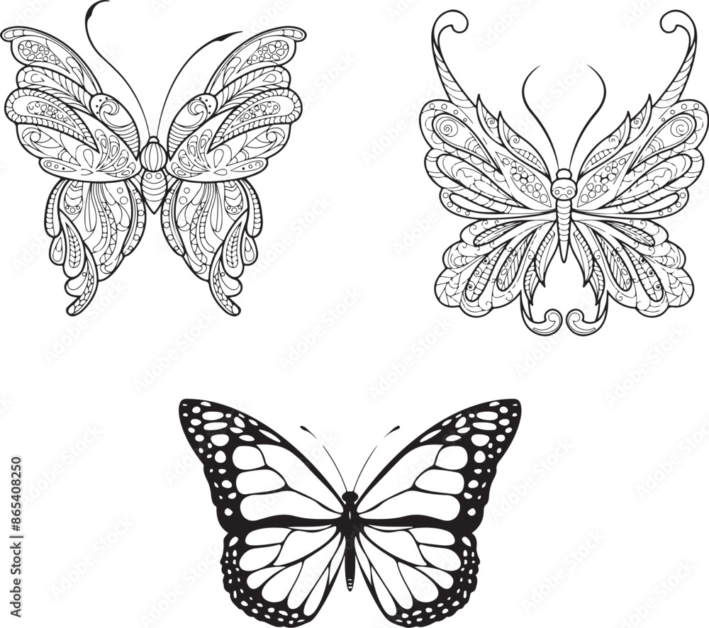 Obraz premium Batterfly vector art graphic resources, vector Element image design