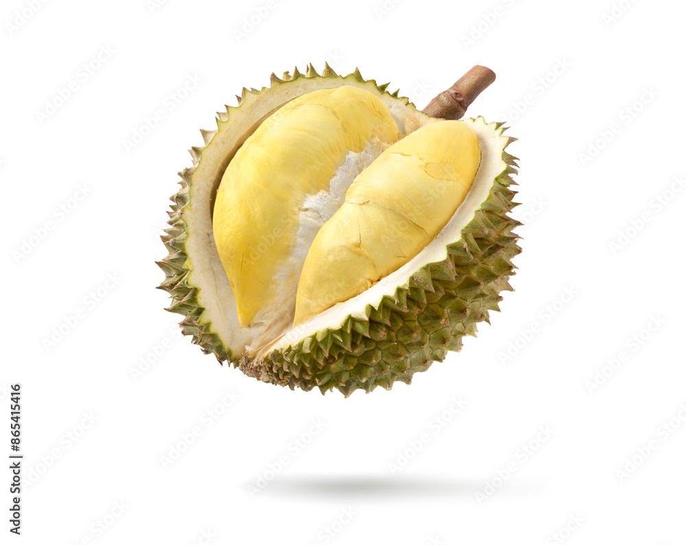 Fototapeta premium Ripe Durian fruit cut in half levitate isolated on white background. Clipping path.