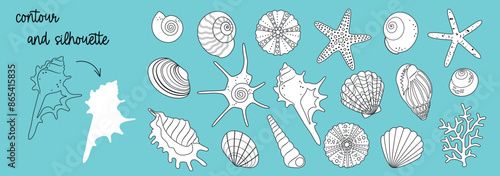 Big summer set of isolated sea flat cartoon underwater world elements, variety of seashells, starfish, sea urchins, corals for pattern, stickers, logo. Outline, silhouette. Vector EPS10