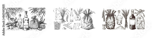 A sketch of a sugar cane farm harvest, organic cane leaves, sugar sacks and cubes, bottle of rum, and a vintage alcoholic beverage. Isolated on white, sugar cane farm harvest on a farm.