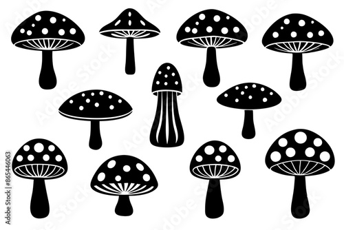 A group of black and white mushrooms arranged on a white surface