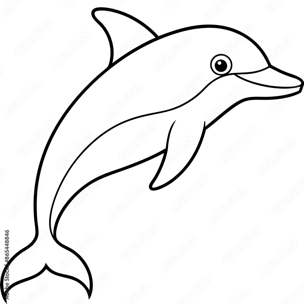 dolphin isolated on white background dolphin isolated on white background