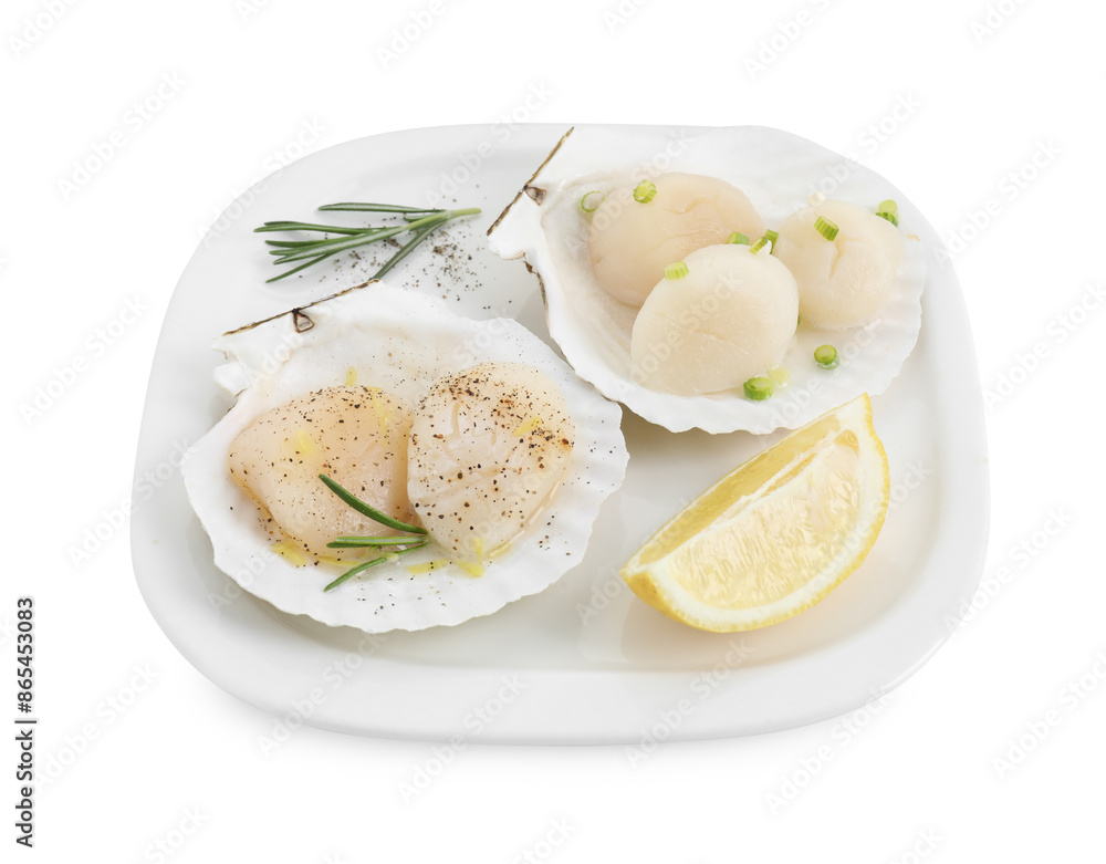 Raw scallops with green onion, rosemary, lemon and shells isolated on white Raw scallops with green onion, rosemary, lemon and shells isolated on white