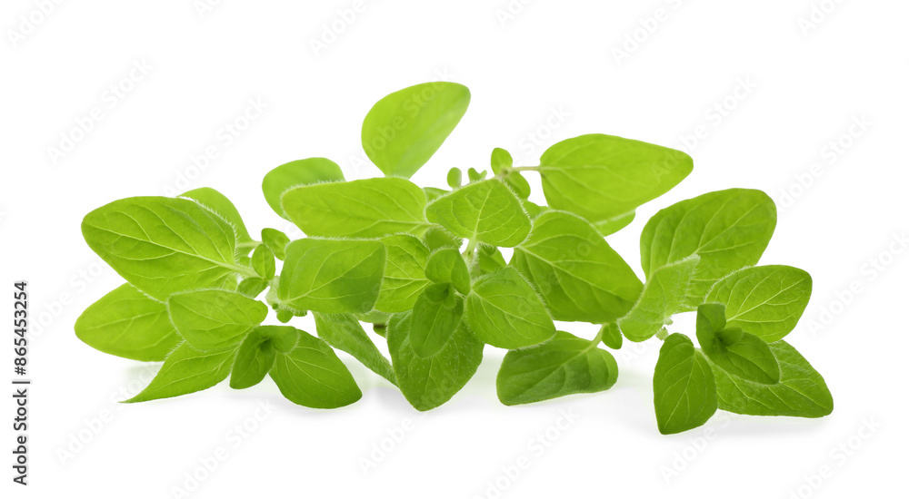 Sprig of fresh green oregano isolated on white Sprig of fresh green oregano isolated on white