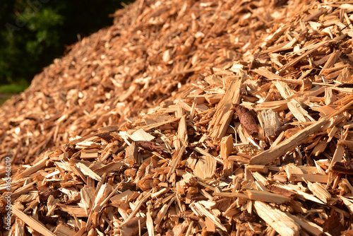 Wood chip wooden chips a pile of recyclated fuel