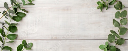 Eucalyptus border frame, blank center, aged wood background, tranquil and elegant