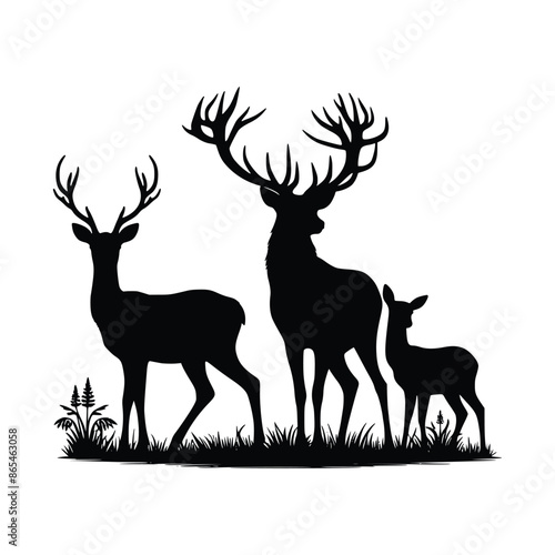 deer vector illustration, Graphic black silhouettes of wild deer