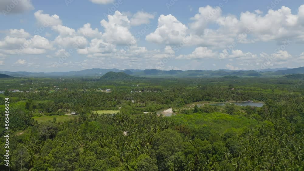 Aerial top view of a garden park with green mangrove forest trees, river, pond or lake. Nature landscape background, Thailand. Aerial top view of a garden park with green mangrove forest trees, river, pond or lake. Nature landscape background, Thailand.
