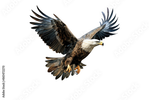 Eagle (PNG 8640x5760)