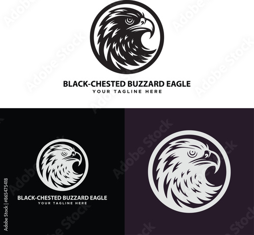 White tailed eagle logo design vector Illustration