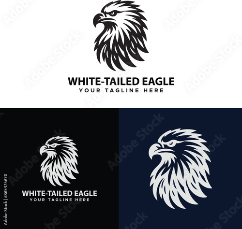 White tailed eagle logo design vector Illustration