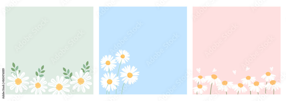 Daisy flower and branches on green, blue and pink backgrounds vector. Daisy flower and branches on green, blue and pink backgrounds vector.