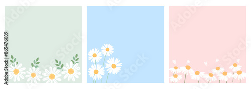 Daisy flower and branches on green, blue and pink backgrounds vector. 