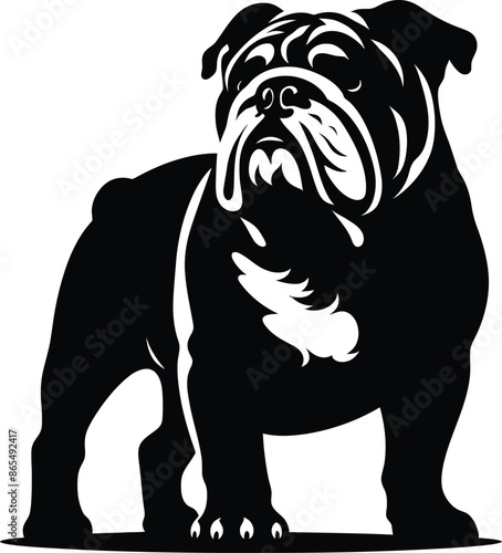 A Bulldog vector, silhouette. A Bulldog face vector, silhouette 