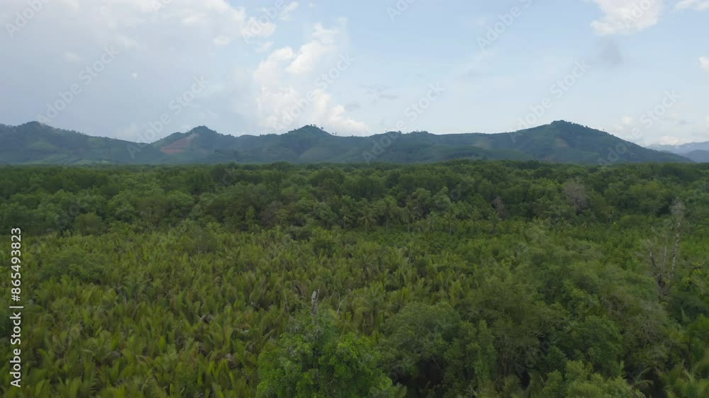 Aerial top view of a garden park with green mangrove forest trees, river, pond or lake. Nature landscape background, Thailand. Aerial top view of a garden park with green mangrove forest trees, river, pond or lake. Nature landscape background, Thailand.