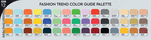 Fashion Trend Color Palette. Fashion Trend Color Guide Palette No 12. An example of a colour tones vector. Forecast of the future colors. Catalog Samples of Colors for Paint Businesses, garments, Arts