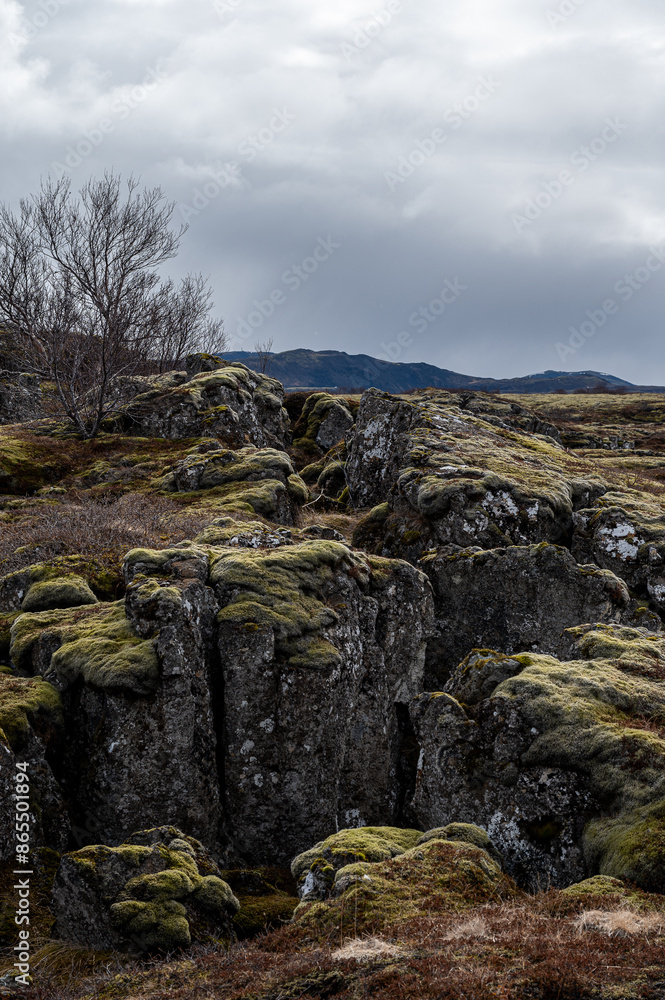 Techtonic Plates Iceland Techtonic Plates Iceland