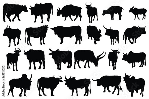 Abstract vector Set of cow silhouettes isolated on a white background, stock illustration. 