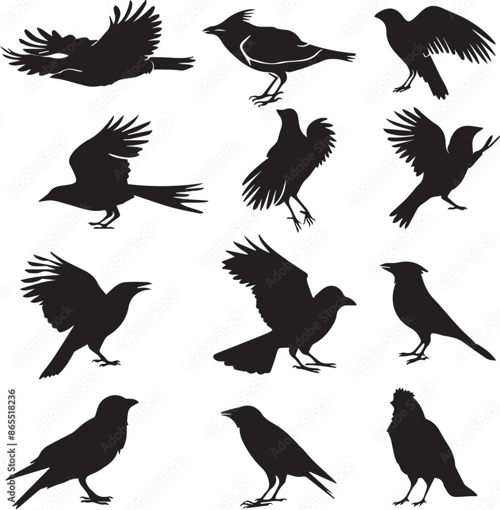 Obraz premium Collection of Black Bird Silhouettes: Vector Design Elements
