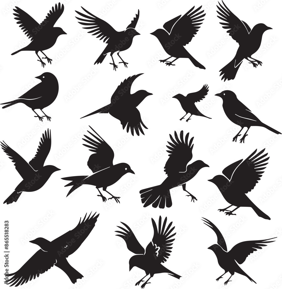 Obraz premium Collection of Black Bird Silhouettes: Vector Design Elements