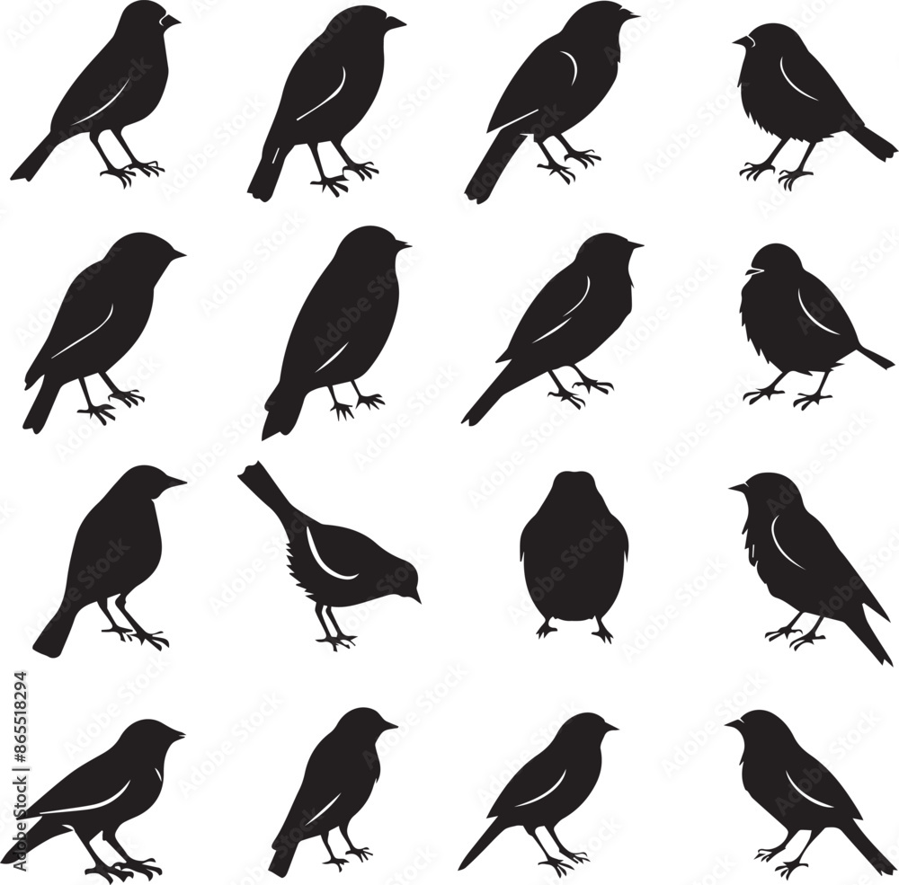 Fototapeta premium Collection of Black Bird Silhouettes: Vector Design Elements