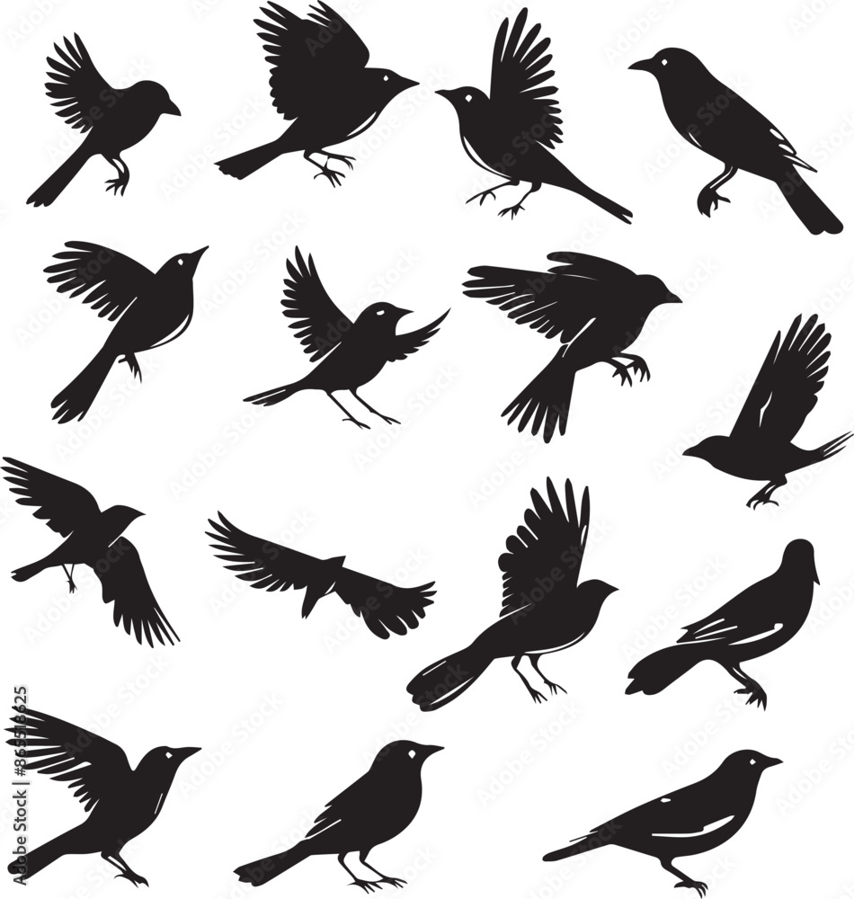 Fototapeta premium Collection of Black Bird Silhouettes: Vector Design Elements