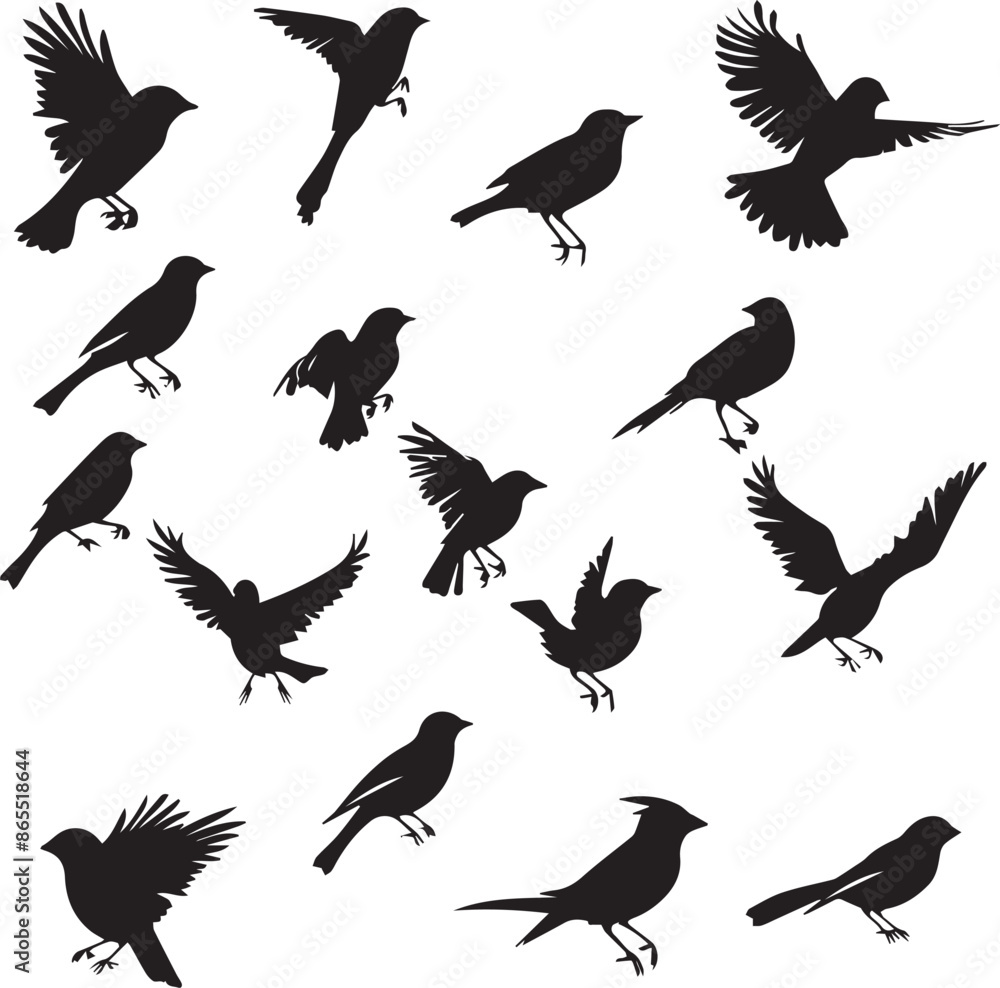 Obraz premium Collection of Black Bird Silhouettes: Vector Design Elements