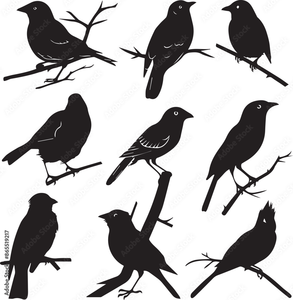 Collection of Black Bird Silhouettes: Vector Design Elements Collection of Black Bird Silhouettes: Vector Design Elements