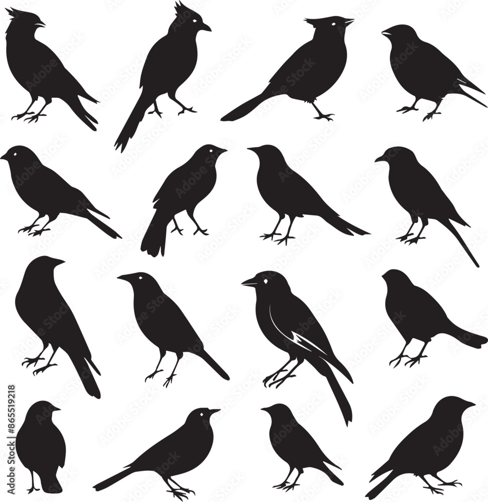 Collection of Black Bird Silhouettes: Vector Design Elements Collection of Black Bird Silhouettes: Vector Design Elements