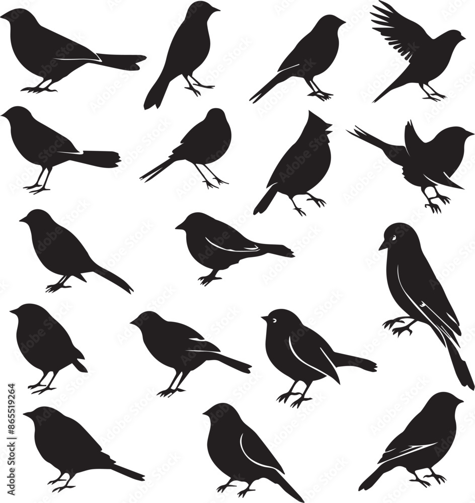 Obraz premium Collection of Black Bird Silhouettes: Vector Design Elements
