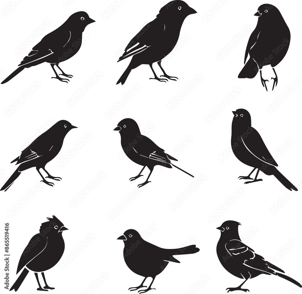 Collection of Black Bird Silhouettes: Vector Design Elements Collection of Black Bird Silhouettes: Vector Design Elements