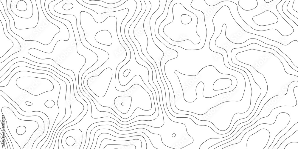 Fototapeta premium White topology topography vector art abstract background digital shapes contour map texture