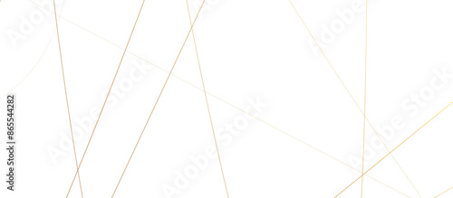 Abstract background golden strokes curved lines digital art simple threads on blank background 