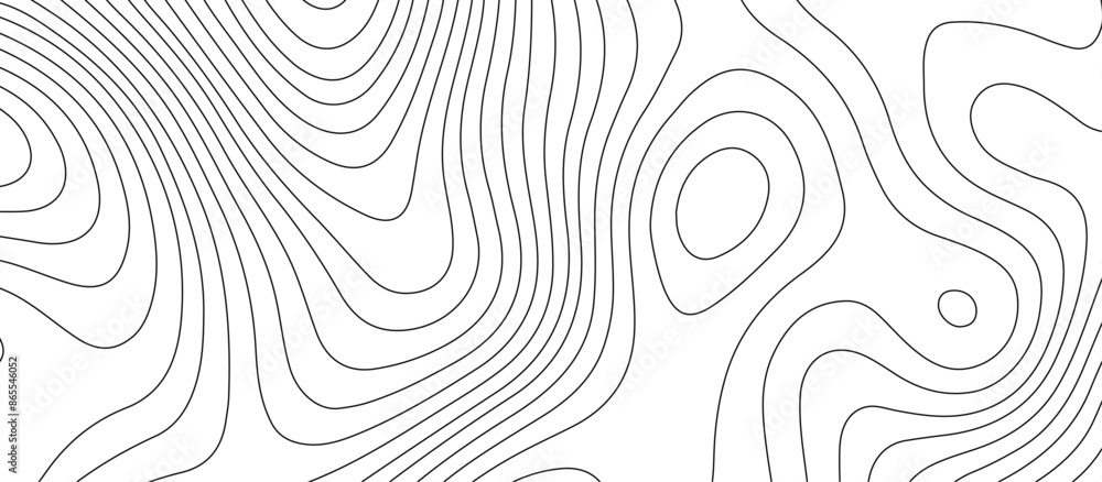 Fototapeta premium White topology topography vector art abstract background digital shapes contour map texture