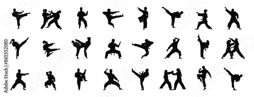 Male and female karate silhouette vector