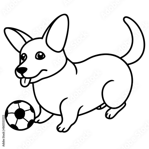 Corgi dog breed vector black line