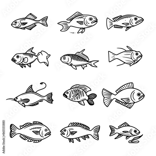 fish, sea, vector, fishing, silhouette, animal, illustration, icon, cartoon, nature, water, pattern, food, salmon, ocean, design, marine, art, set, seafood, seamless, shark, car, Seashells svg, Seashe photo