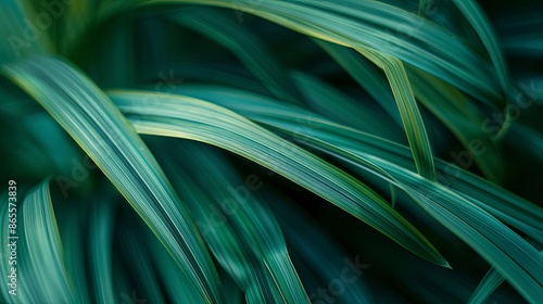 Green tropical plant close-up. 