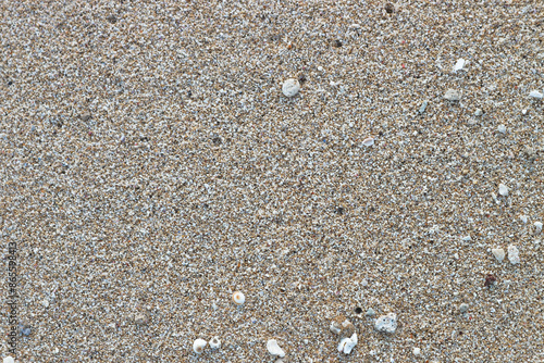 Sea shells and coral fragments selectively focused on beach sand with copy space.