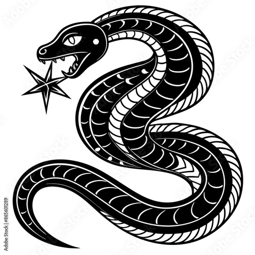 black and white snake photo