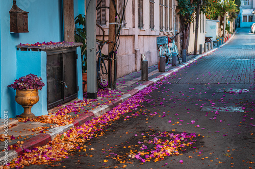 A street with a blue wall and colorful flowers on the floor. Neve Tzedek, Tel Aviv, Israel