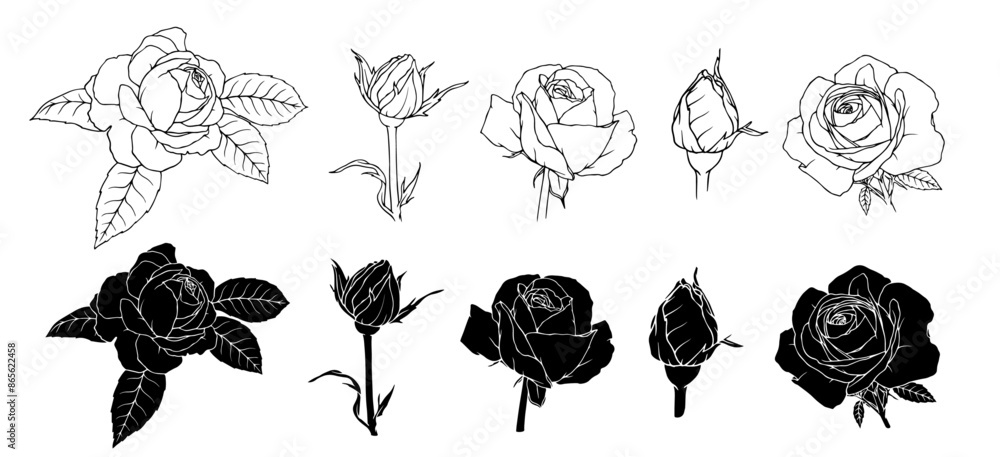 Collection of linear sketches, stamps of flowers and rose buds. Vector graphics. Collection of linear sketches, stamps of flowers and rose buds. Vector graphics.