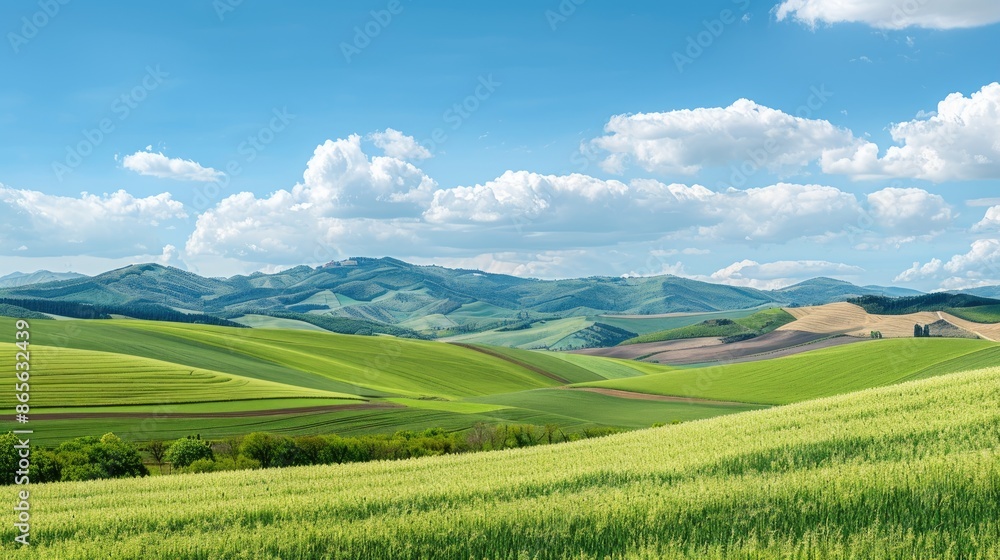 A panoramic view of rolling green hills and meadows under a bright blue sky dotted with puffy white clouds A panoramic view of rolling green hills and meadows under a bright blue sky dotted with puffy white clouds