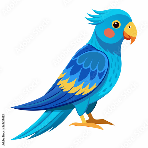 blue ringneck parrot vector  photo