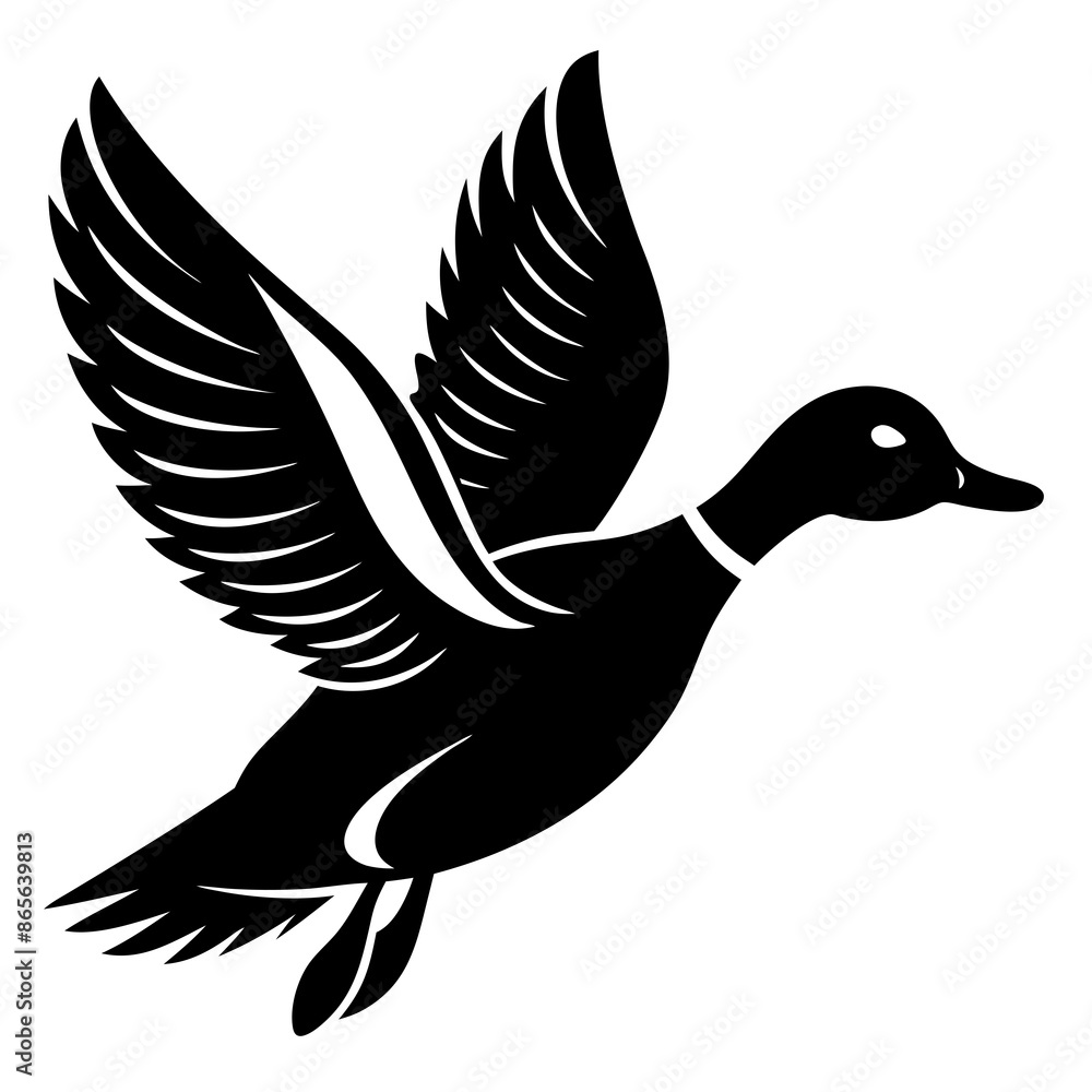 Obraz premium duck in flight
